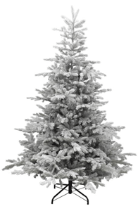 Grandis Grey Fir Frosted Christmas Tree