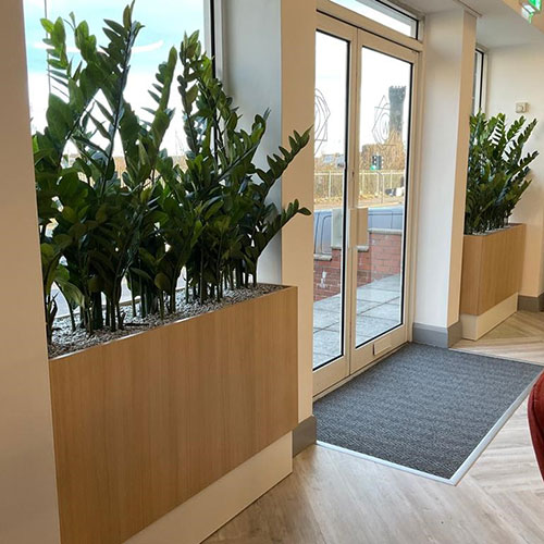 Artificial office plants in long planters next to entrance
