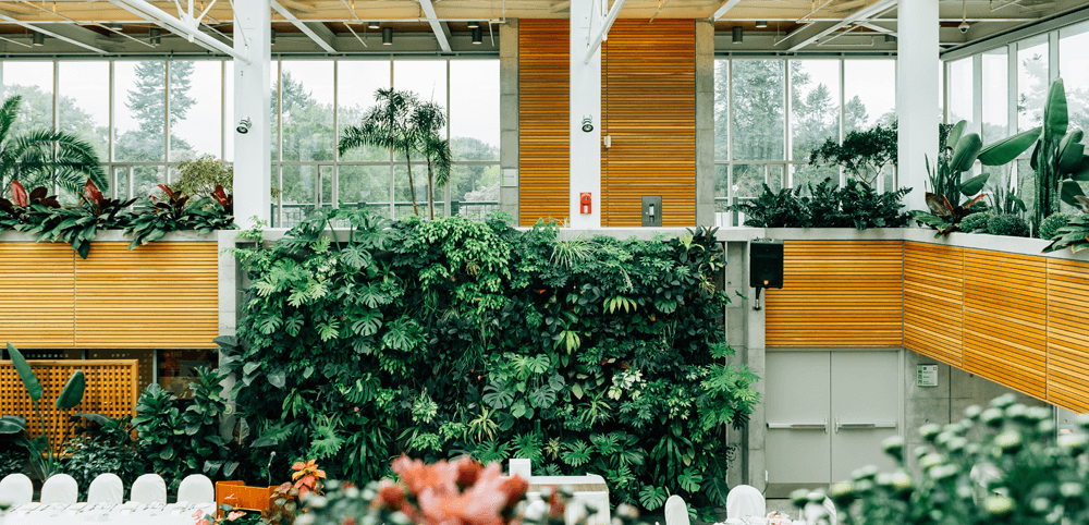 living wall in commercial building interior with wood panelling