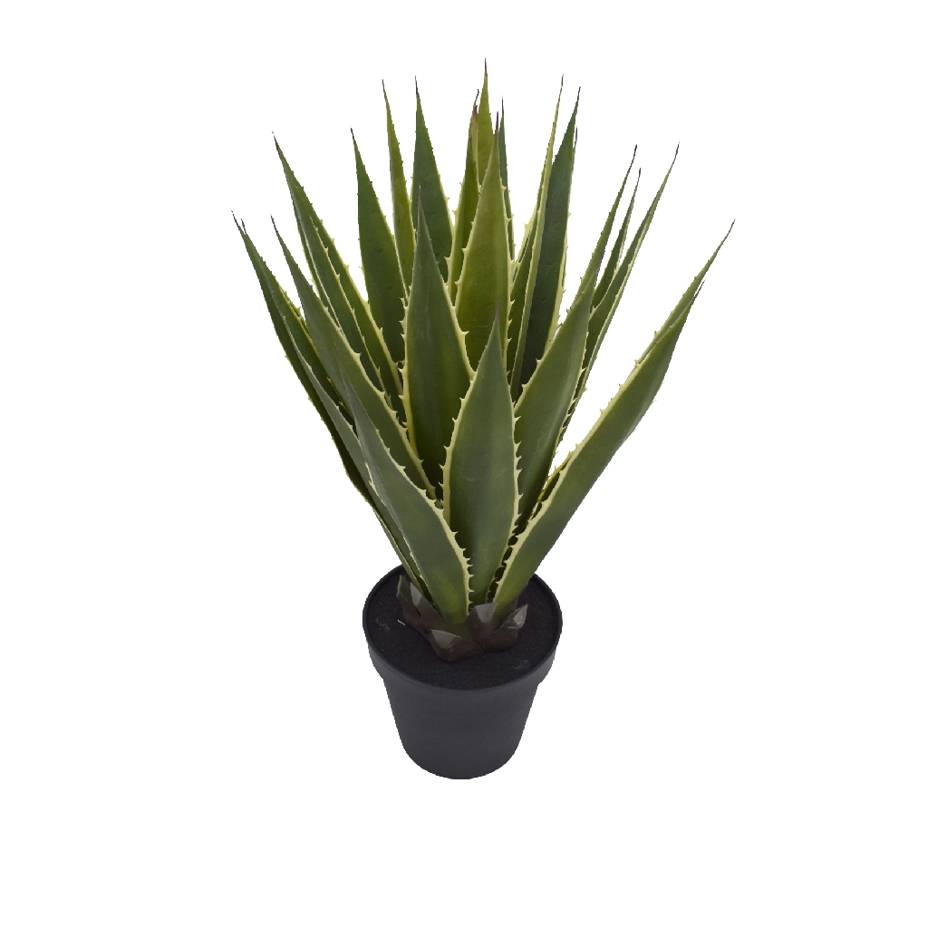Artificial African Agave Plant