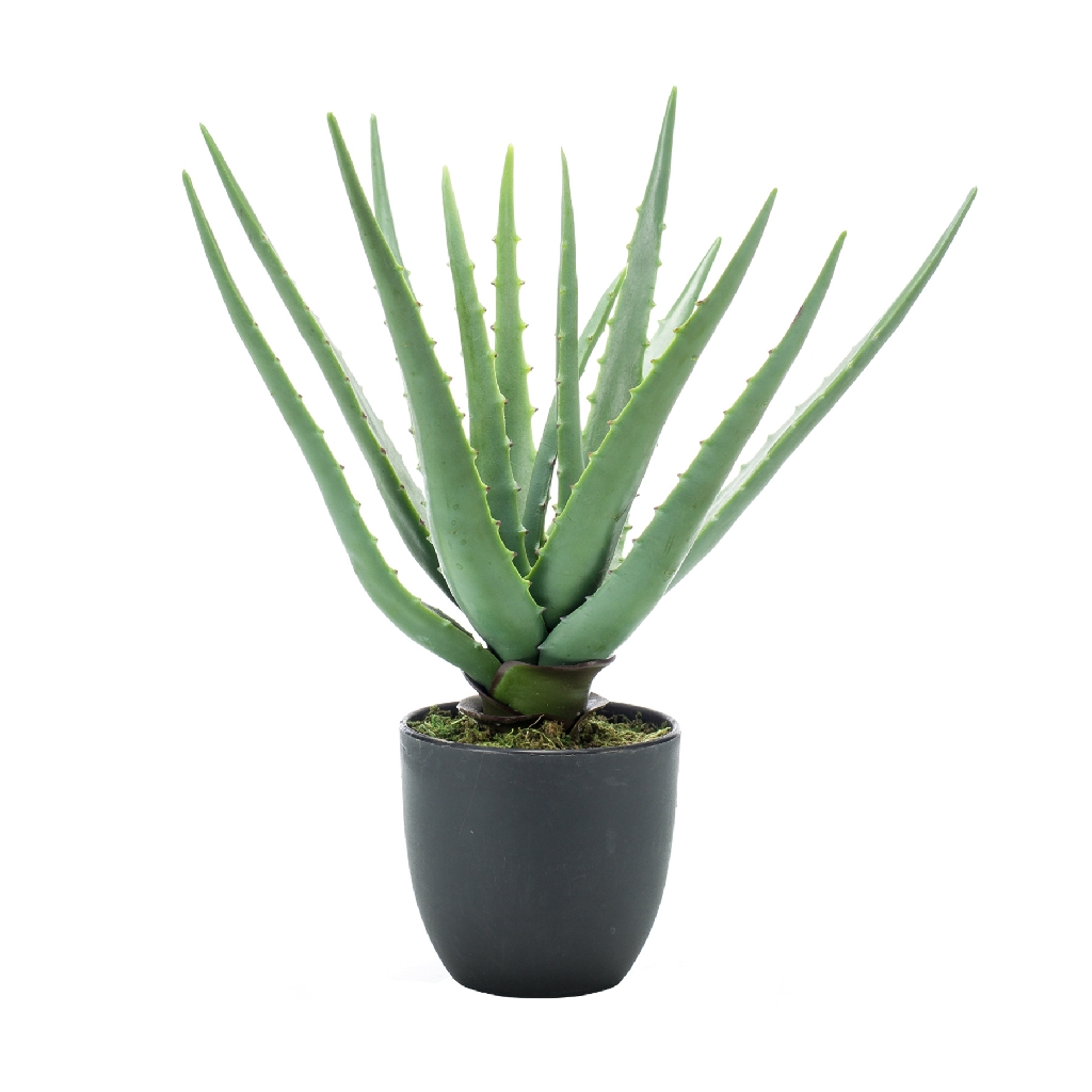 Artificial Aloe Green Potted Plant Plant