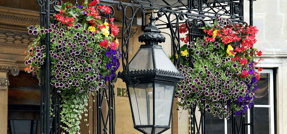 flower hanging baskets outside a business