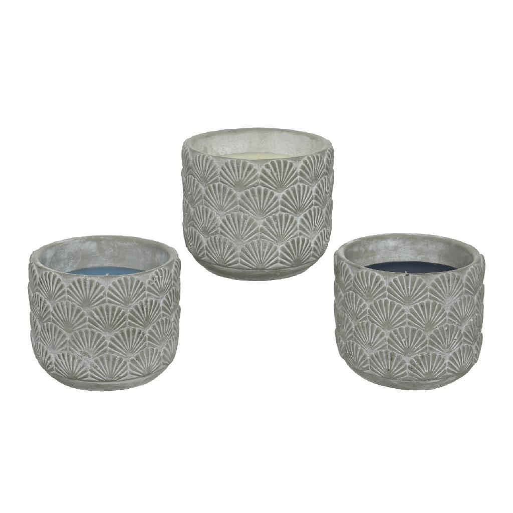 3 citronella candle votives with shell design