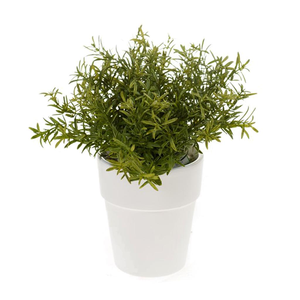 artificial potted rosemary