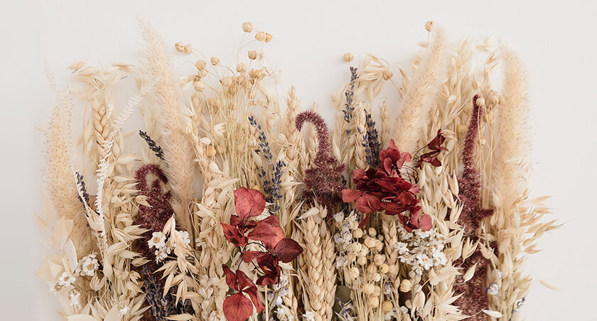 selection of dried flowers lined up