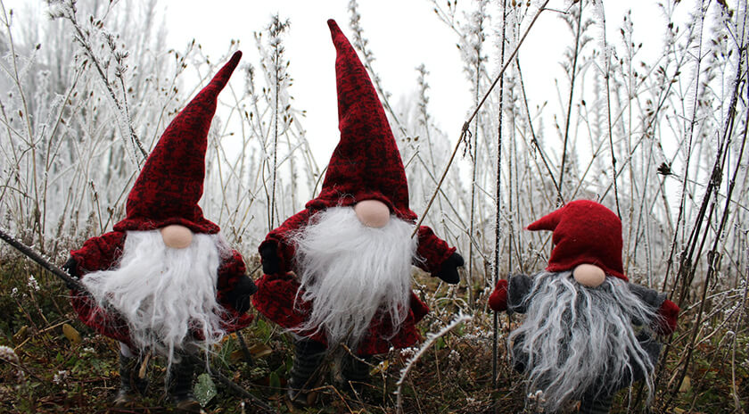 three red hat gonks in winter undergrowth