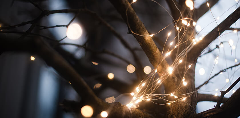 led lights in tree branches outside