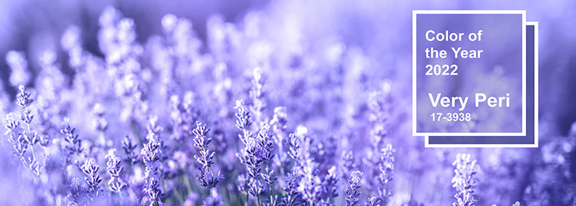 pantone colour of the year 2022 veri peri - lavender field