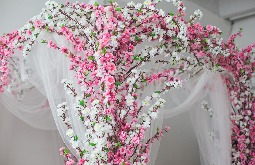 white and pink artificial blossom covering a canopy structure at event