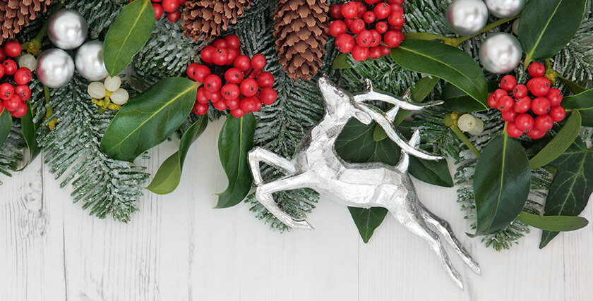 meaning of festive greenery - holly, ivy, mistletoe and silver reindeer decoration
