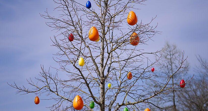 real tree decorated with colourful hanging eater eggs