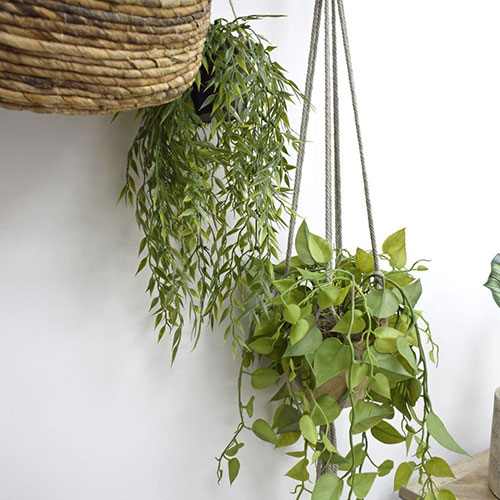 trailing artificial plants absorb sound hanging on wall