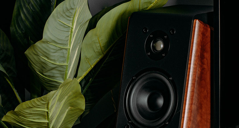 speaker next to artificial plant