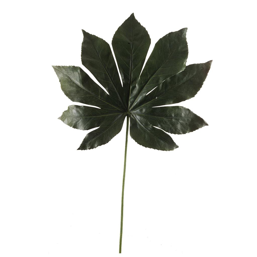 large faux fatsia leaf 