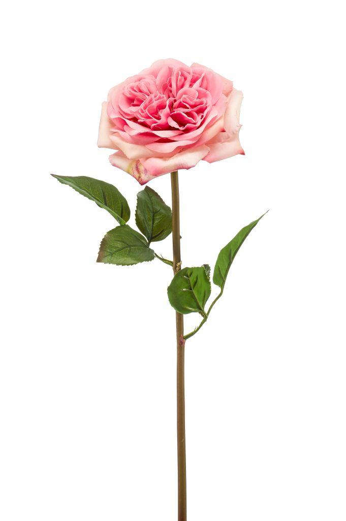 pink austin artificial rose - barbiecore flower