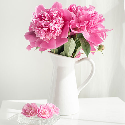 Barbiecore pink flowers in white vase