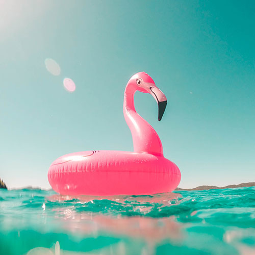 pink flamingo inflatable on the sea