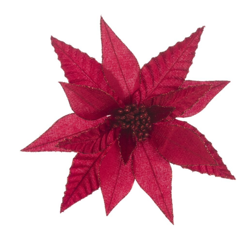 red clip on poinsettia 
