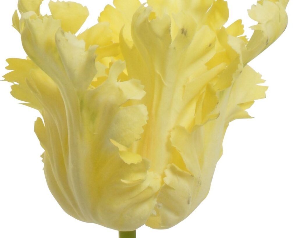 pale yellow tulip artificial flower head