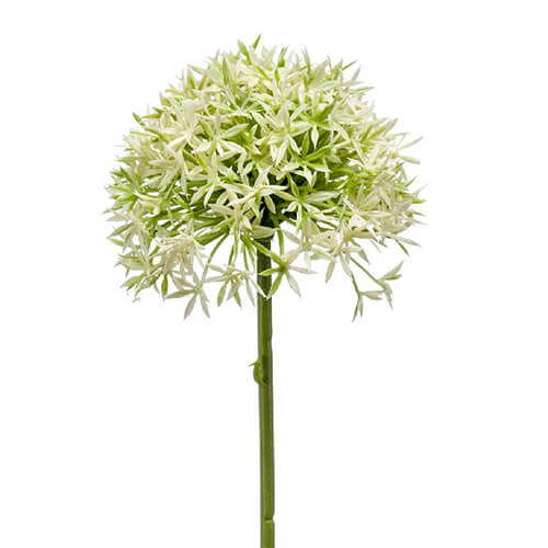 artificial allium flower stem in green and white
