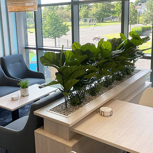 artificial office plants in a commercial space