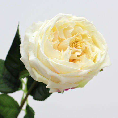 single stem artificial rose in cream showing close up detail in petals