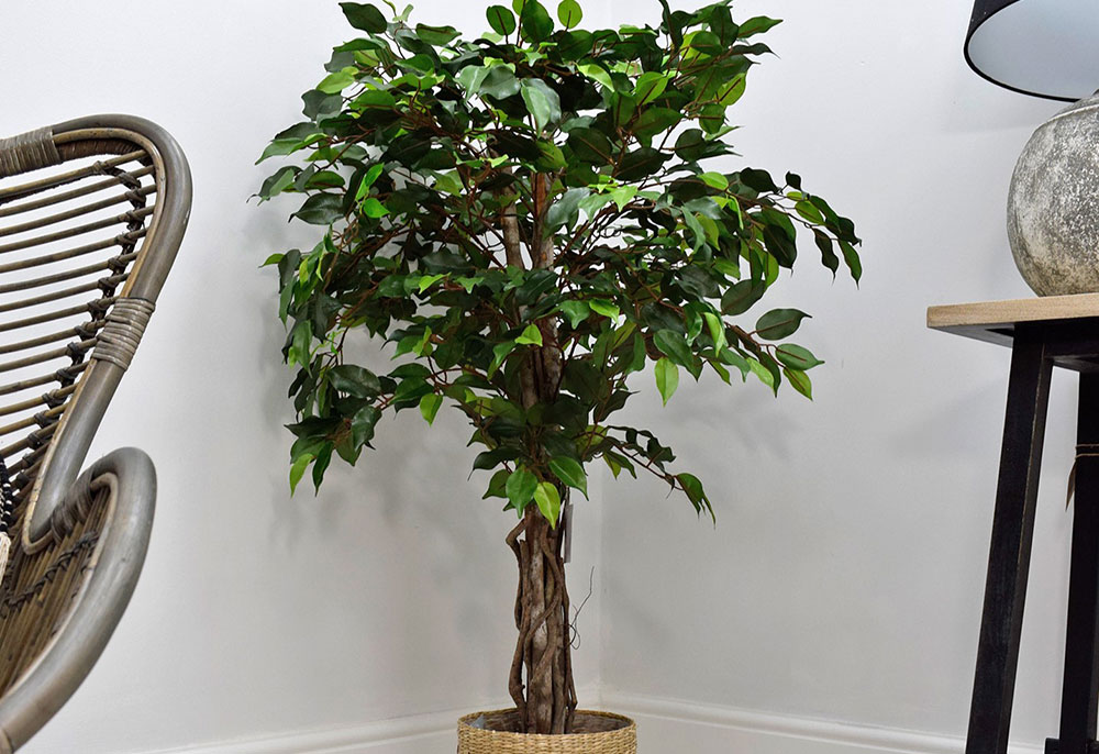 best artificial plants - faux ficus tree in basket