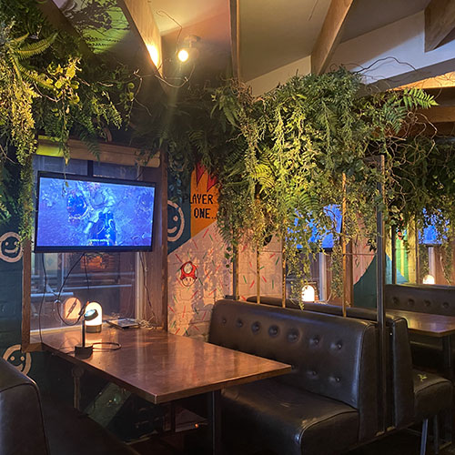 tv booth in a bar decorated with artificial plants