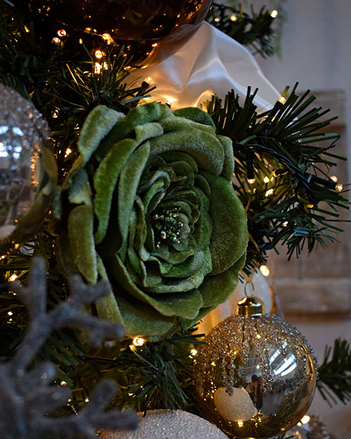 close up of green velvet rose, cream satin ribbon, champagne christmas decorations in green tree with lights
