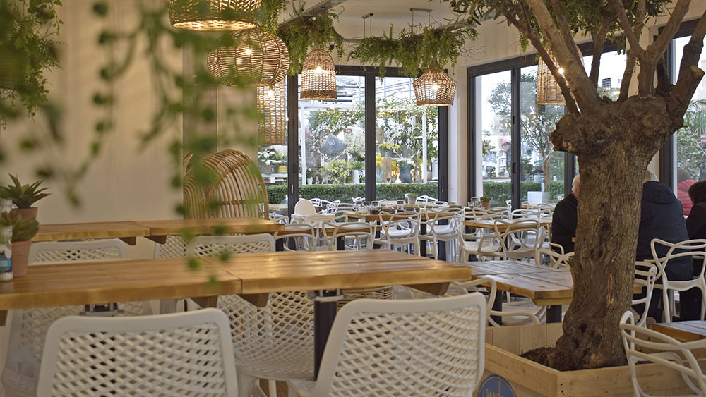 leaf and vine coffee shop wirral interior with tables, white chairs, foliage and tree