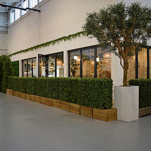 white walled coffee shop with artificial hedging and tree
