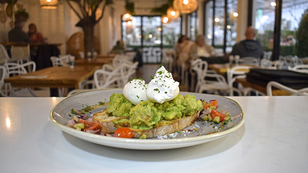 leaf and vine dish with avocado and poached eggs on toast