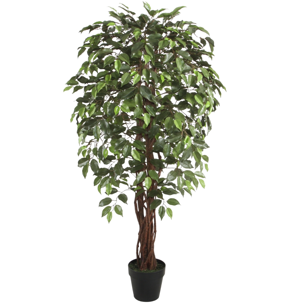 Artificial Ficus Tree Green Twisted Trunk 5ft / 150cm - £64.99 ...