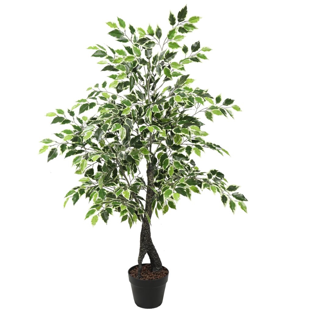 Ficus Artificial Varigata 200 cm - Envío en 24h – korashop