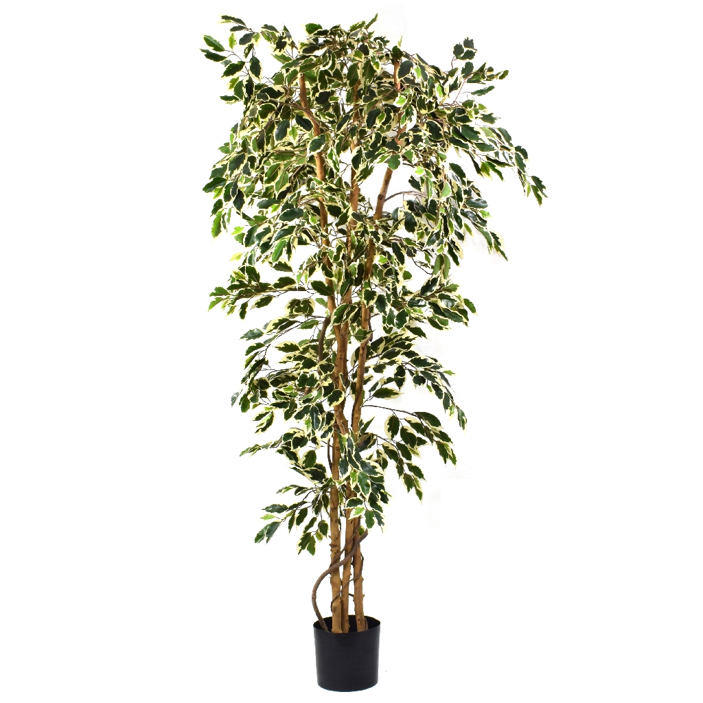OLORE HOME Artificial Ficus Tree Variegated 6ft 180cm 
