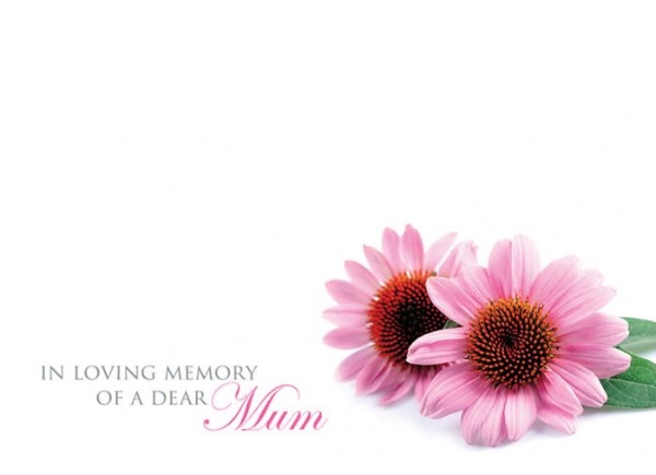Oasis In Loving Memory of a Dear Mum Pink Daisy Cards x9 - £ -  Inspirations Wholesale