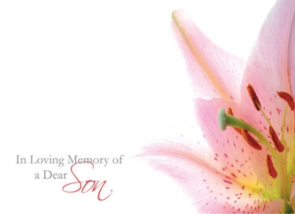 Oasis In Loving Memory of Dear Son Lily x9 - £ - Inspirations Wholesale