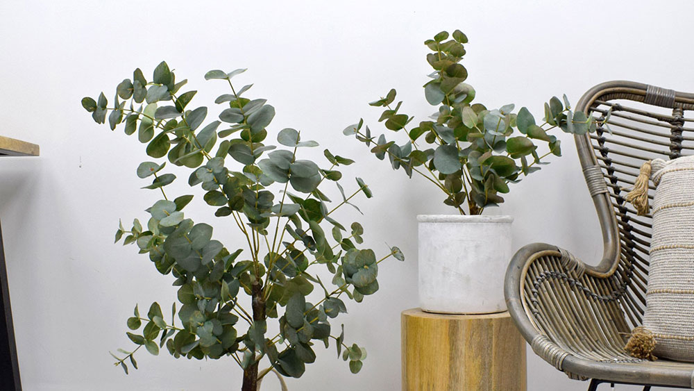 artificial eucalyptus tree and plant in pot