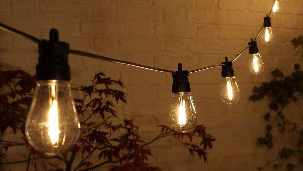 string of festoon outdoor lights at night in garden with white wall and trees