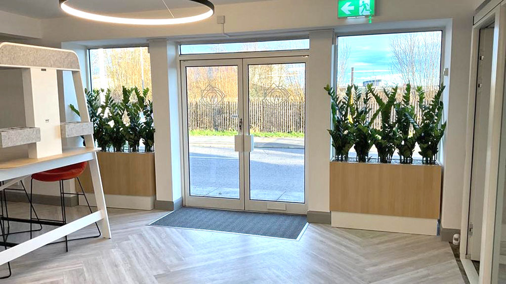 commercial showroom entrance with faux plants in troughs