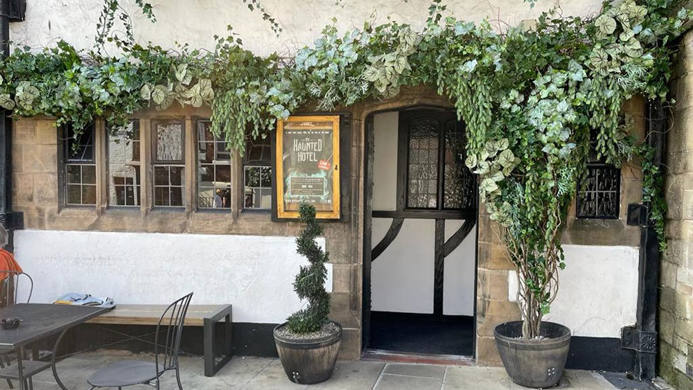 white and green artificial plant installation over pub entrance doorway